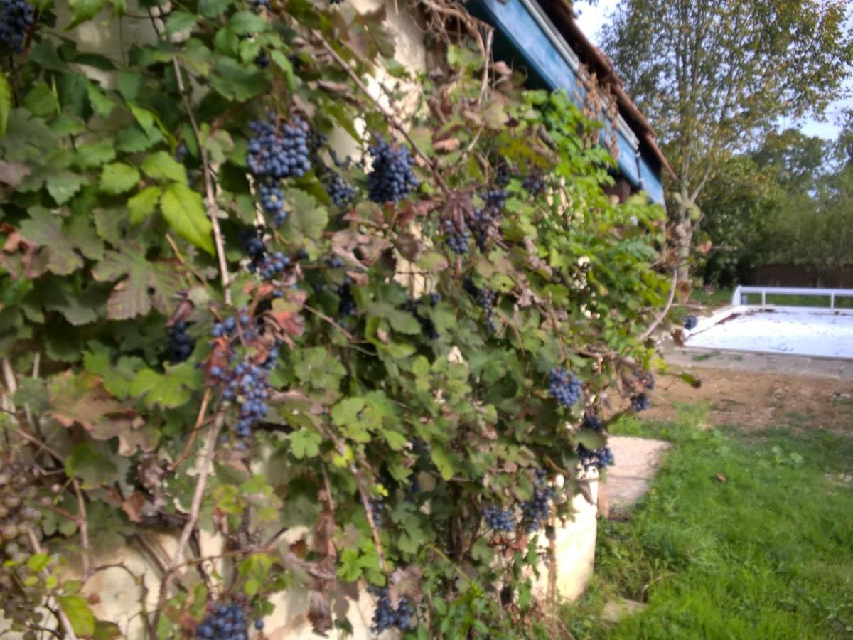 Nicely Renovated Wine-Grower House Fargues-Saint-Hilaire Extérieur photo